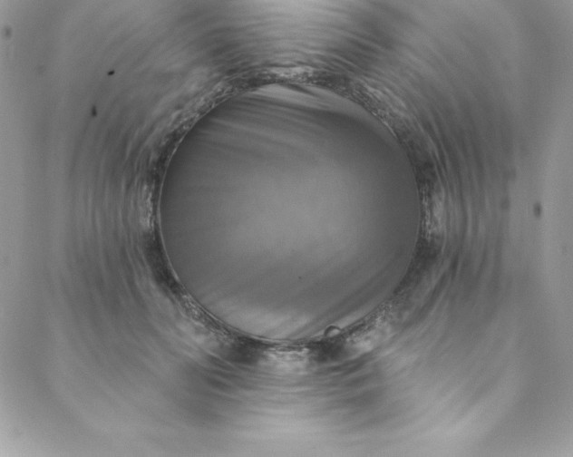 X0000088750606200706141730