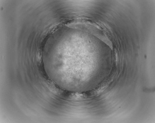 X0000088750607200706141730