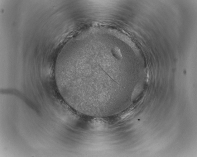 X0000088750608200706141730