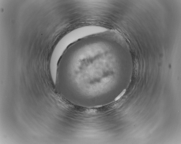 X0000088750609200706141730