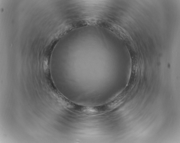 X0000088750610200706141730