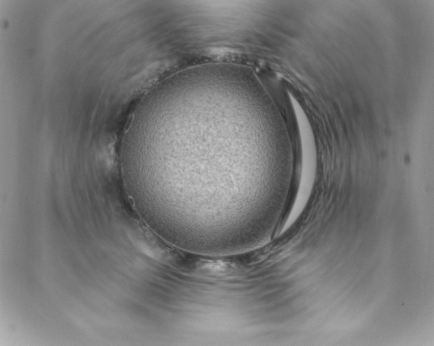 X0000088750611200706141730