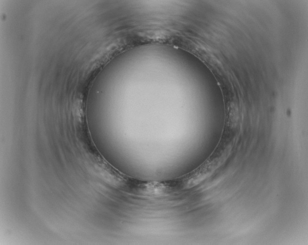 X0000088750612200706141730