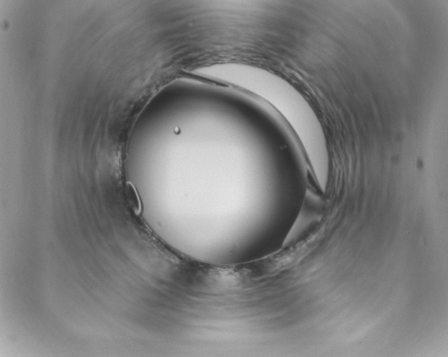 X0000088750613200706141730