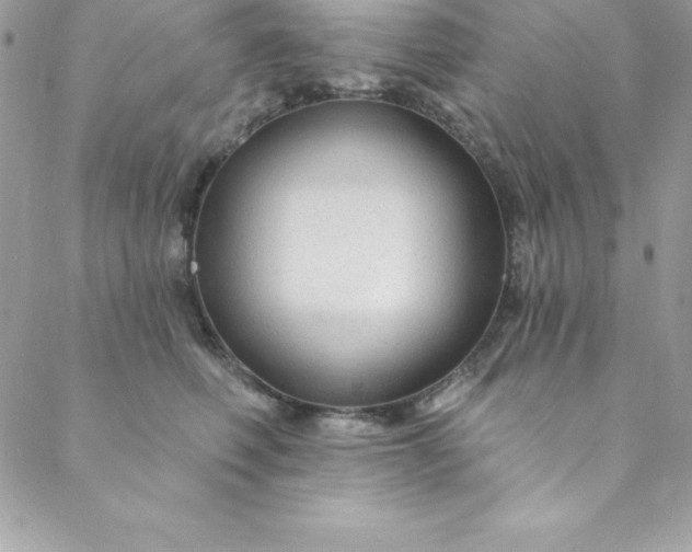 X0000088750614200706141730