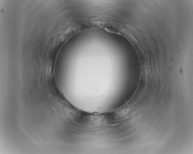 X0000088750615200706141730