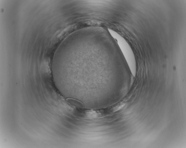 X0000088750616200706141730