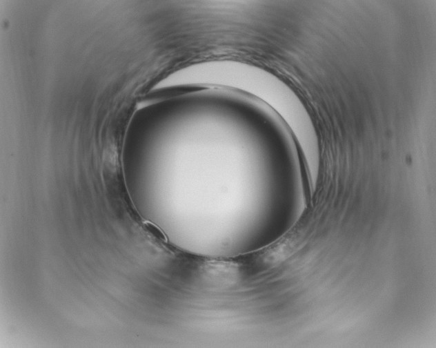 X0000088750617200706141730