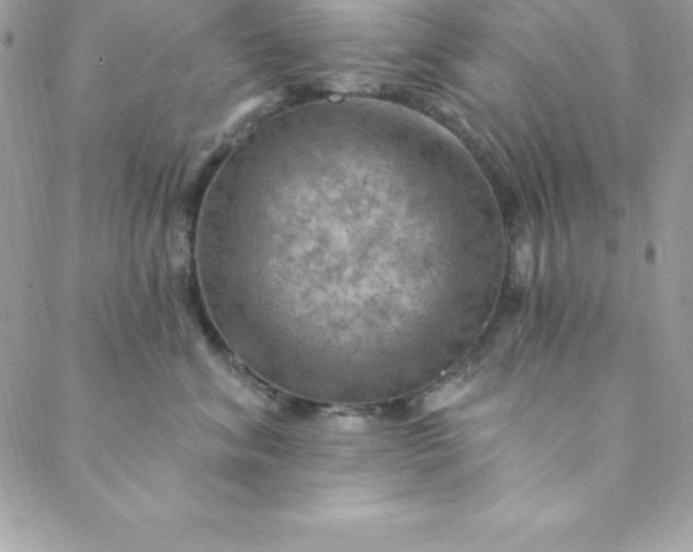 X0000088750620200706141730