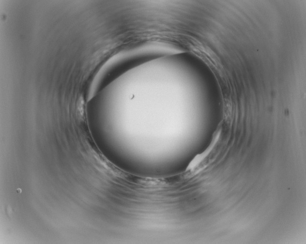 X0000088750621200706141730