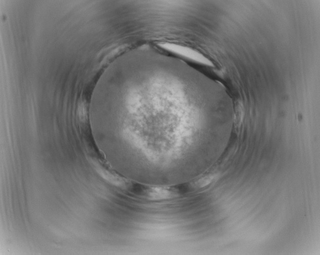 X0000088750623200706141730