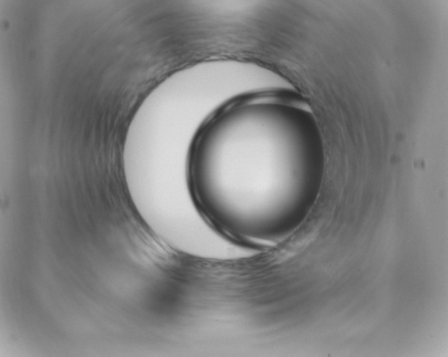 X0000088750624200706141730