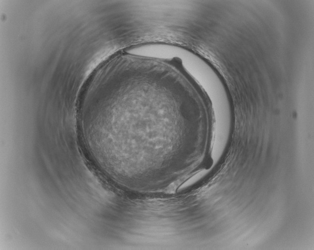 X0000088750626200706141729