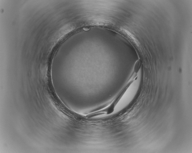 X0000088750627200706141729