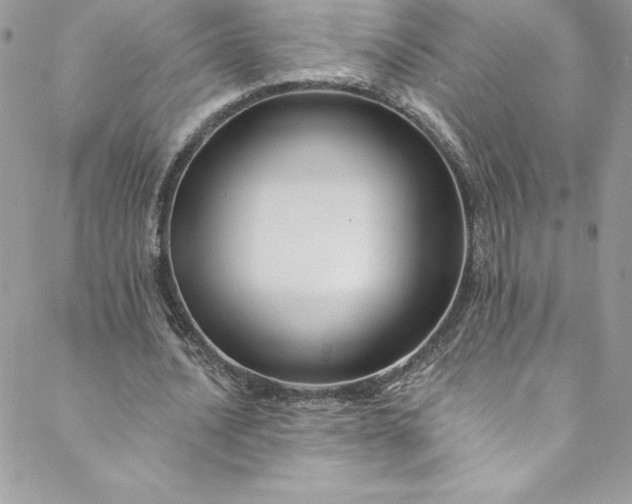 X0000088750628200706141729