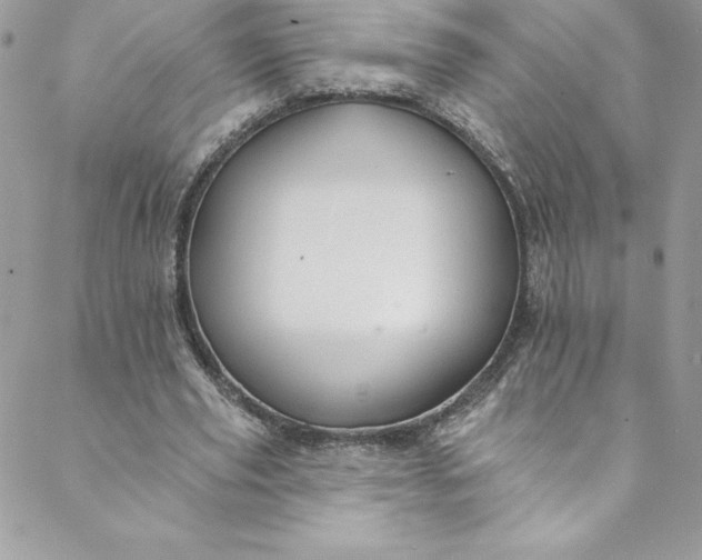 X0000088750629200706141729