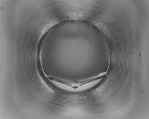 X0000088750630200706141729