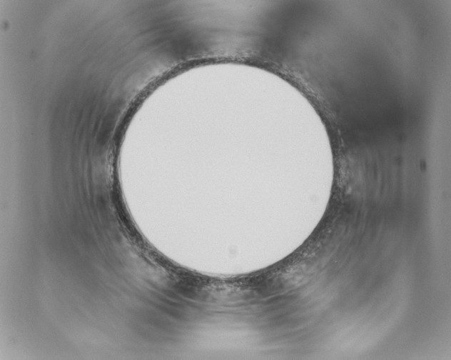 X0000088750632200706141729