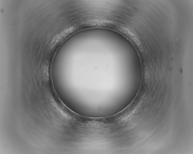 X0000088750633200706141729