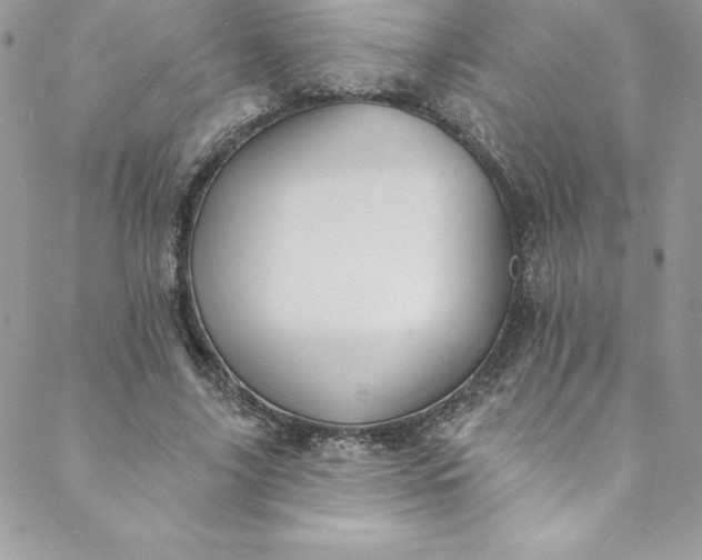 X0000088750635200706141729