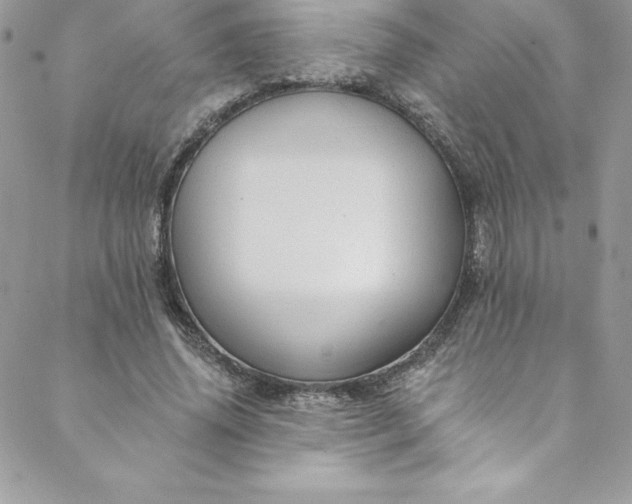 X0000088750636200706141729