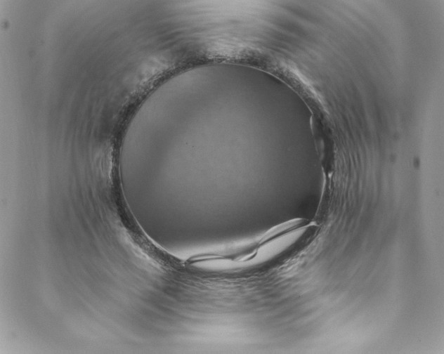 X0000088750637200706141729