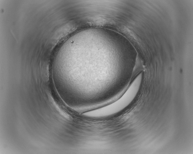 X0000088750638200706141729