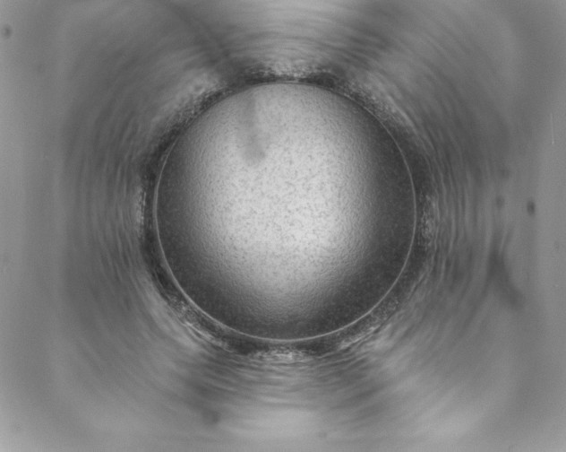 X0000088750639200706141729