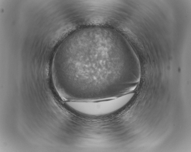 X0000088750640200706141729