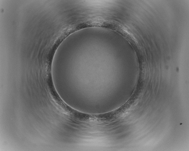 X0000088750641200706141729