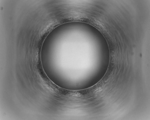 X0000088750642200706141729