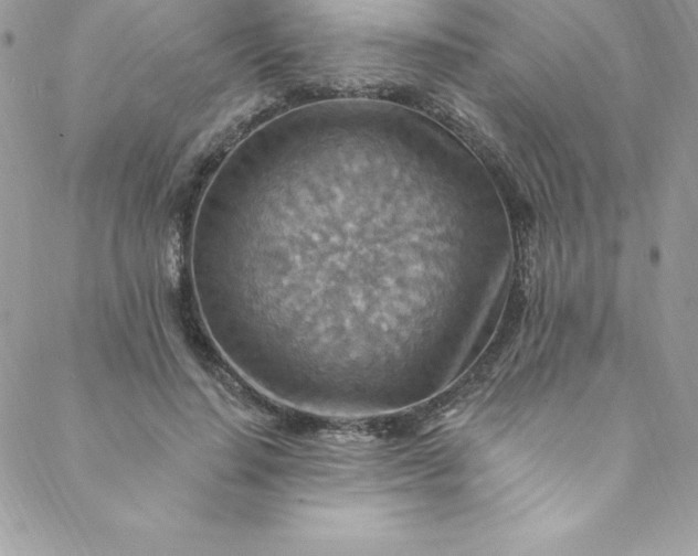 X0000088750644200706141729