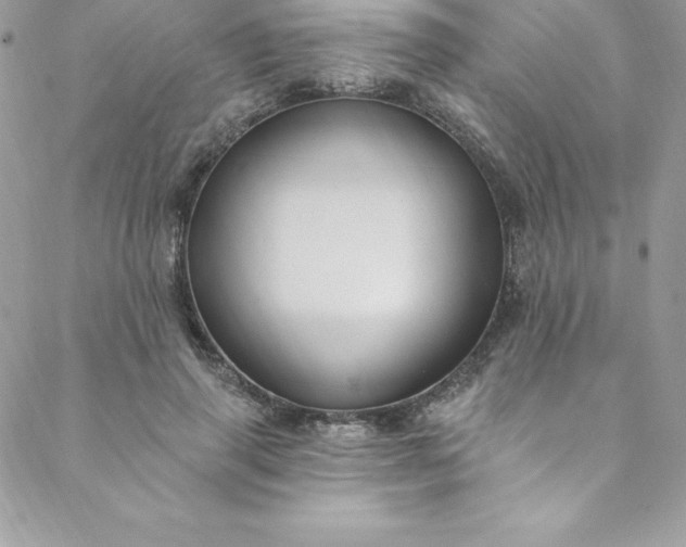 X0000088750645200706141729