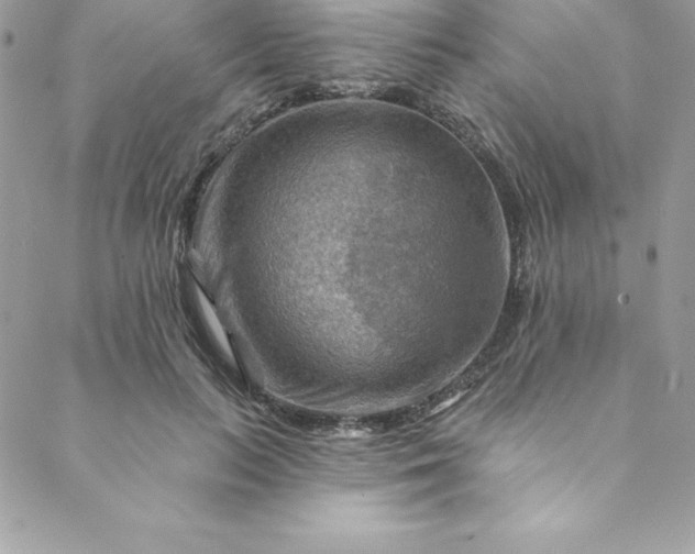 X0000088750647200706141729