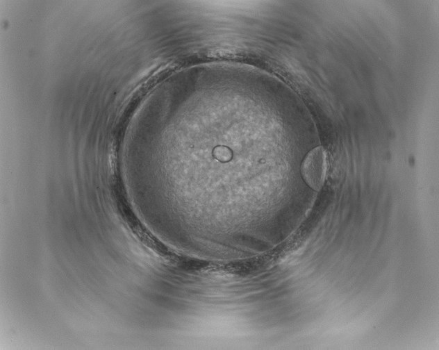 X0000088750648200706141729