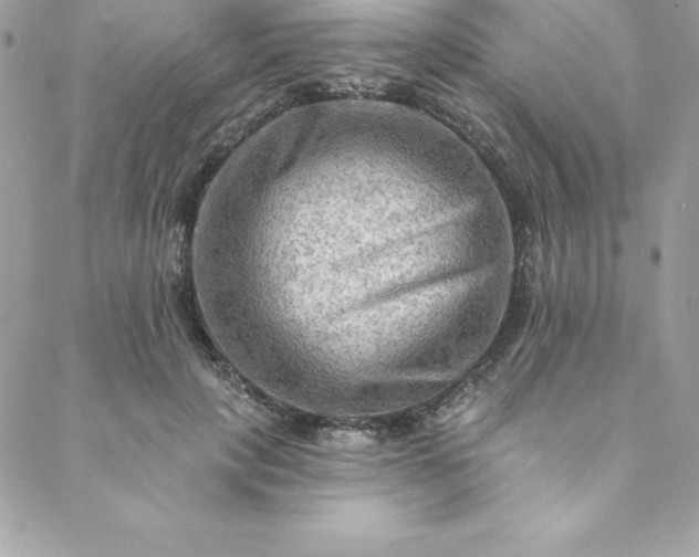 X0000088750649200706141729