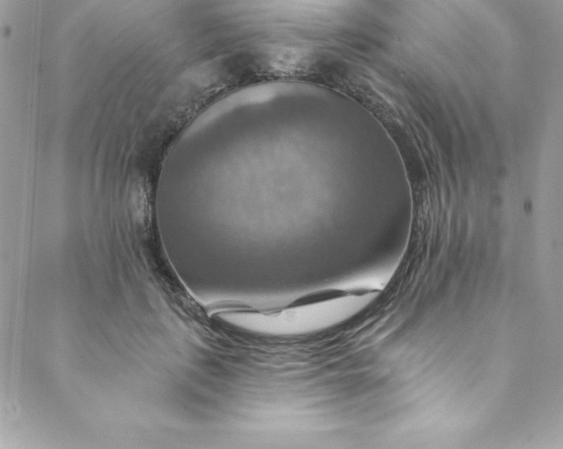 X0000088750651200706141729