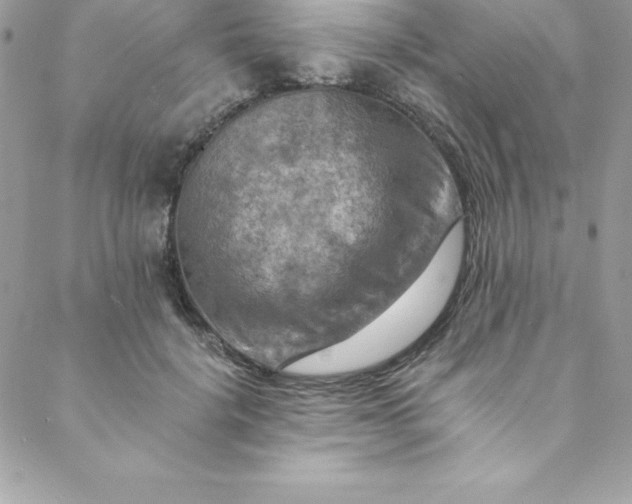 X0000088750652200706141729