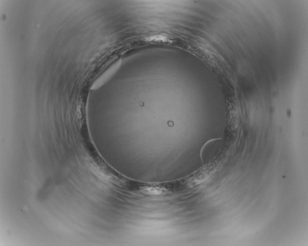 X0000088750654200706141729