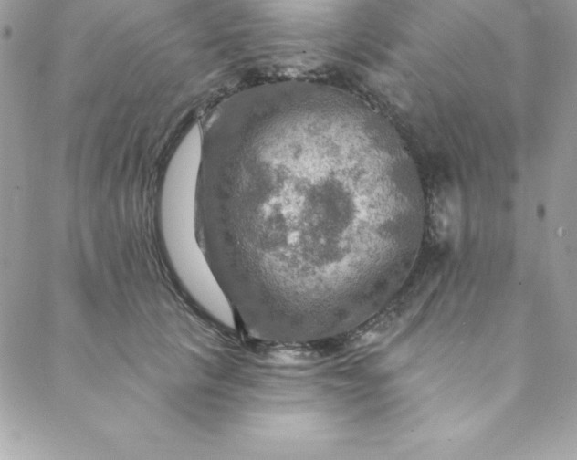 X0000088750657200706141729