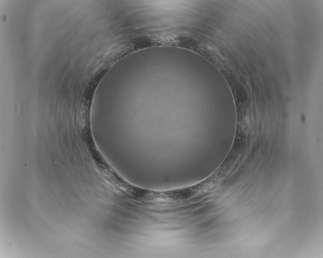 X0000088750658200706141729