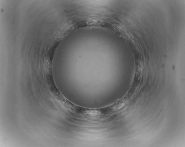 X0000088750659200706141729