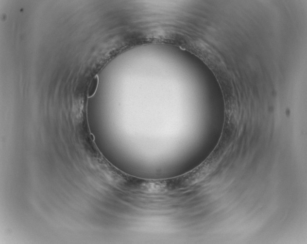 X0000088750660200706141729