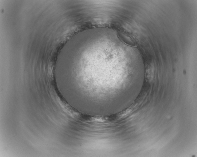 X0000088750662200706141729