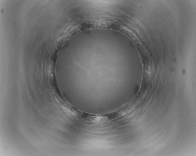 X0000088750663200706141729