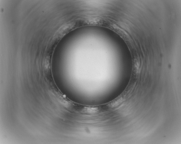 X0000088750665200706141729