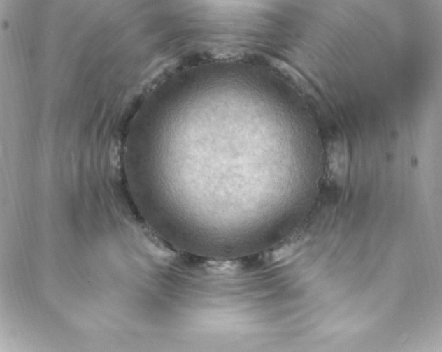 X0000088750667200706141729