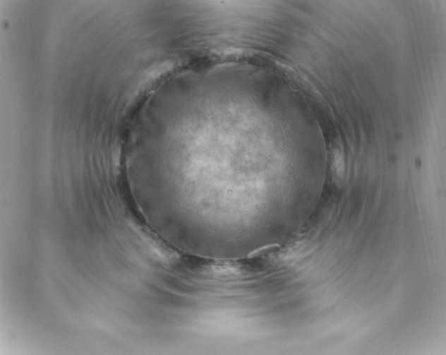 X0000088750668200706141729