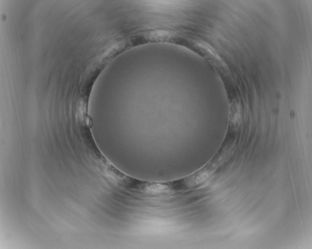 X0000088750669200706141729