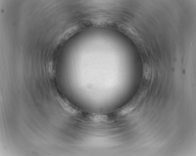 X0000088750670200706141729